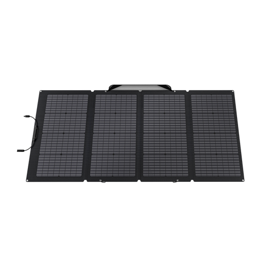 EcoFlow 220W 양면 태양광 패널