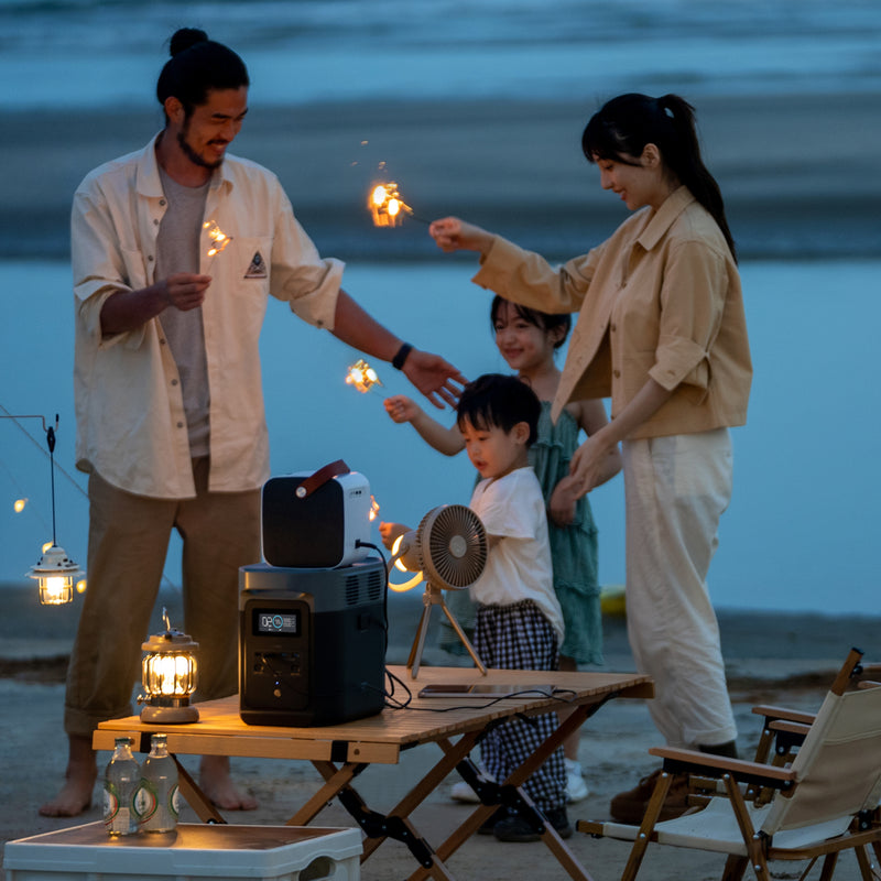 이미지를 갤러리 뷰어에 로드 , 에코플로우 DELTA2 델타2(1024Wh)