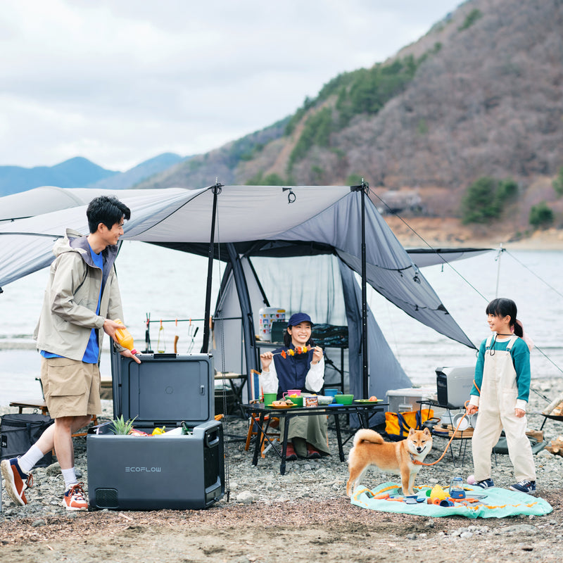 이미지를 갤러리 뷰어에 로드 , 에코플로우 GLACIER 클래식 휴대용 냉장고 겸 냉동고
